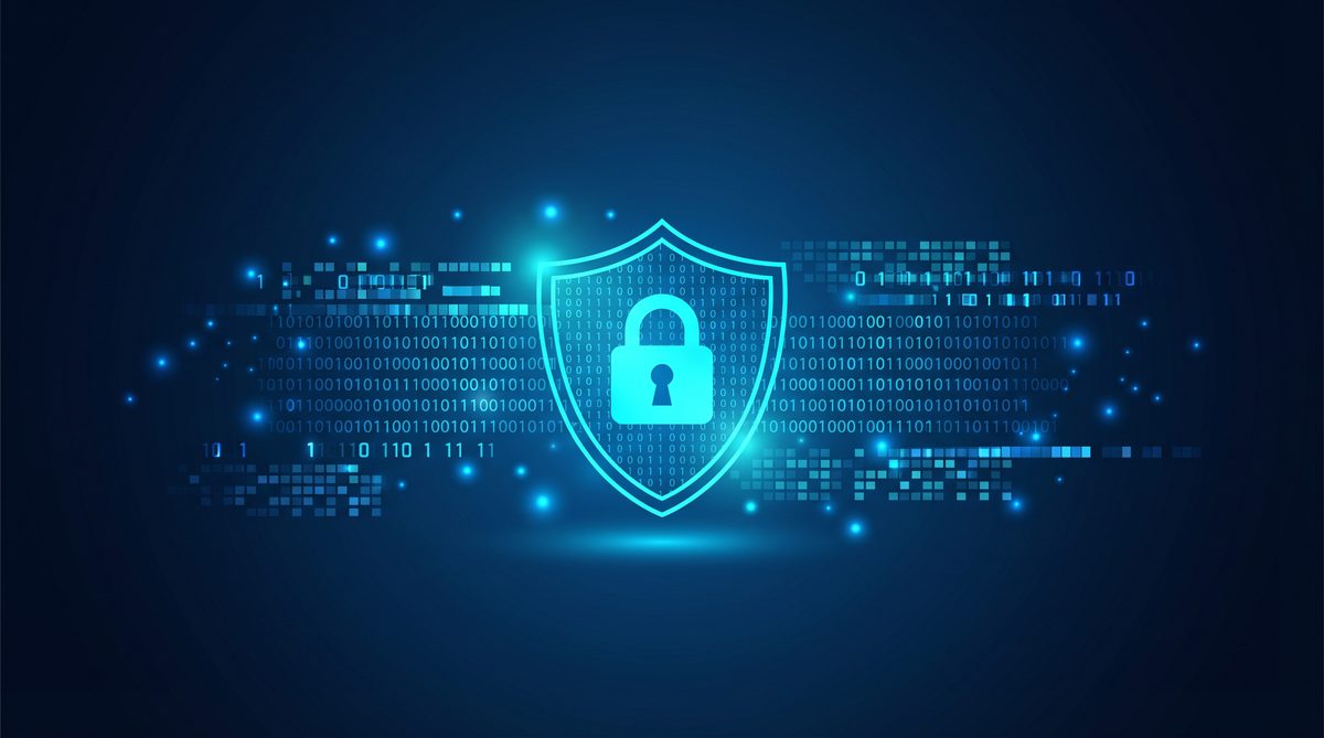 莱鸟加速器隐私安全保护